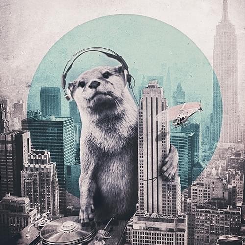 Caseable C09-D univerzálne púzdro pre čítačky kníh - motív DJ