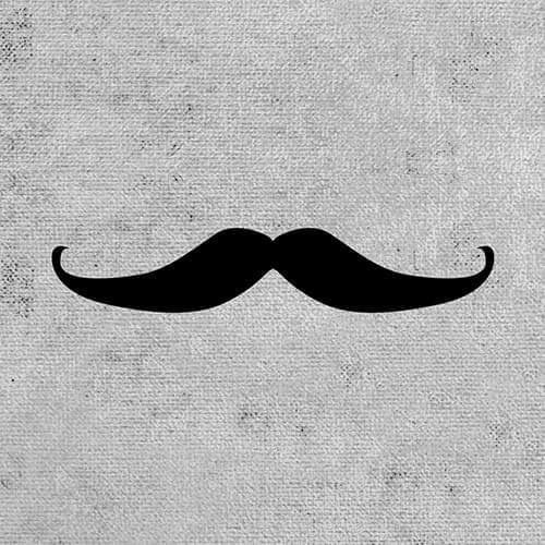 Caseable C17-ML univerzálne púzdro pre čítačky kníh - motív Moustache Ludwig