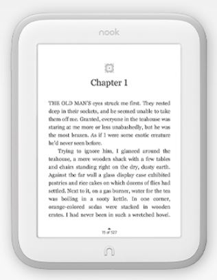 Barnes & Noble Nook Simple Touch GlowLight - 2 GB, WiFi, biely
