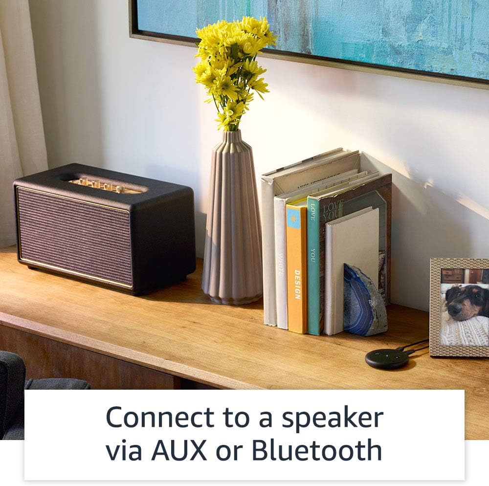 Amazon Echo Input - hlasový asistent, čierny